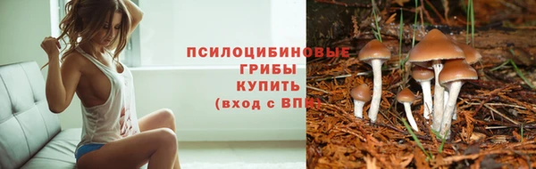 сатива Киренск