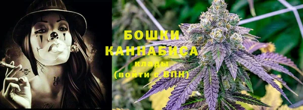 сатива Киренск